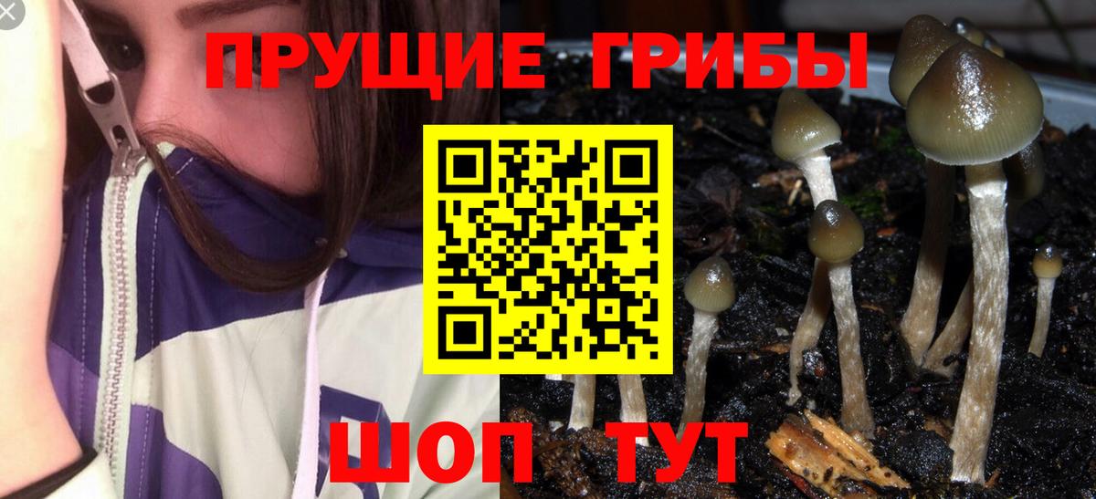 Сегежа  Галлюциногенные грибы мухоморы  как найти наркотики  Вход с VPN 